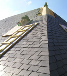 Rénovation et remplacement pour les divers types de toitures 93